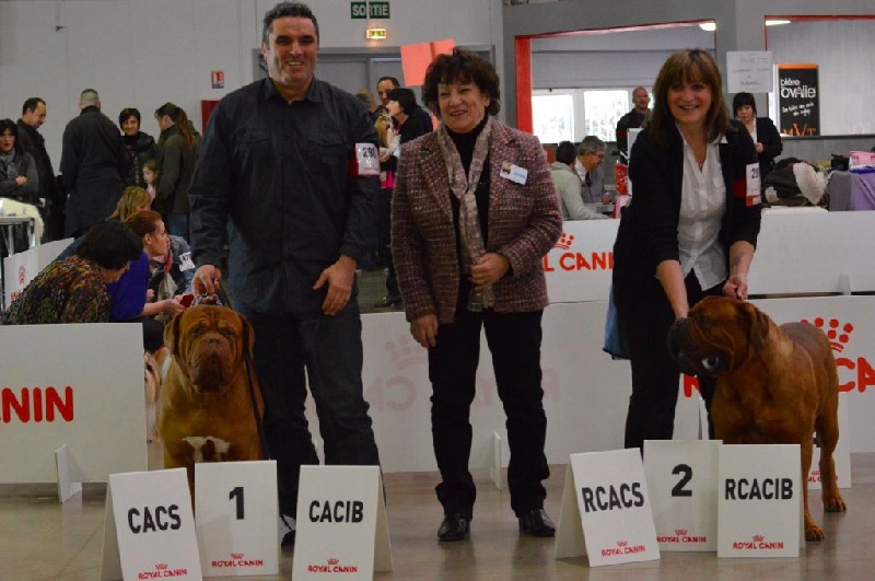 Publication : Dogue Force One Auteur : eveline DAVI