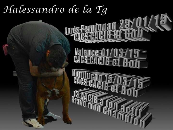 Publication : Dogue Force One Auteur : eveline DAVI