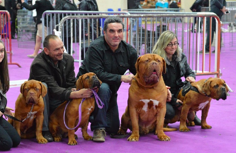 Publication : Dogue Force One Auteur : eveline DAVI