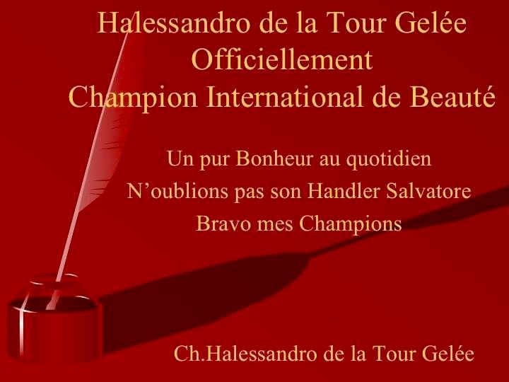 Publication : Dogue Force One Auteur : eveline DAVI