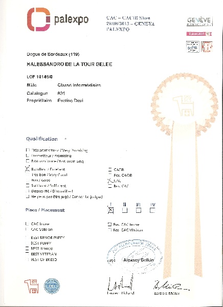 CH. Halessandro La tour gelée - CAC