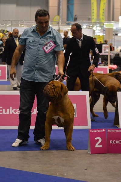 CH. Halessandro La tour gelée - RCAC