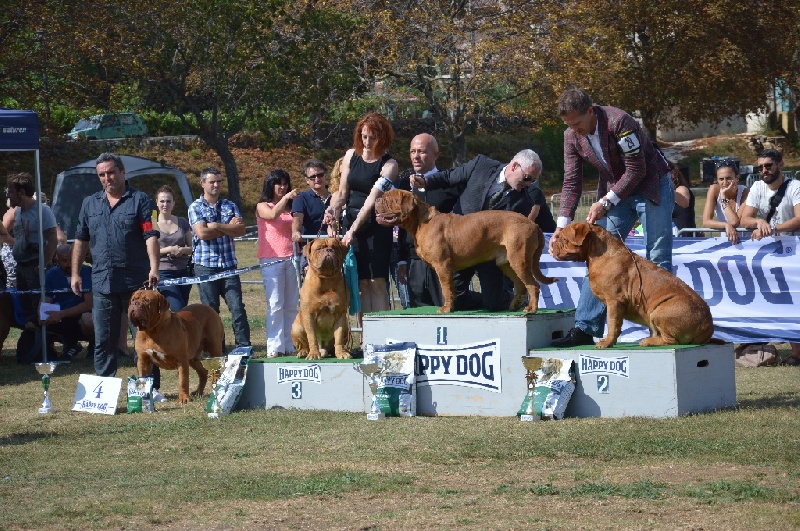 CH. Halessandro La tour gelée - 4ème Excellent