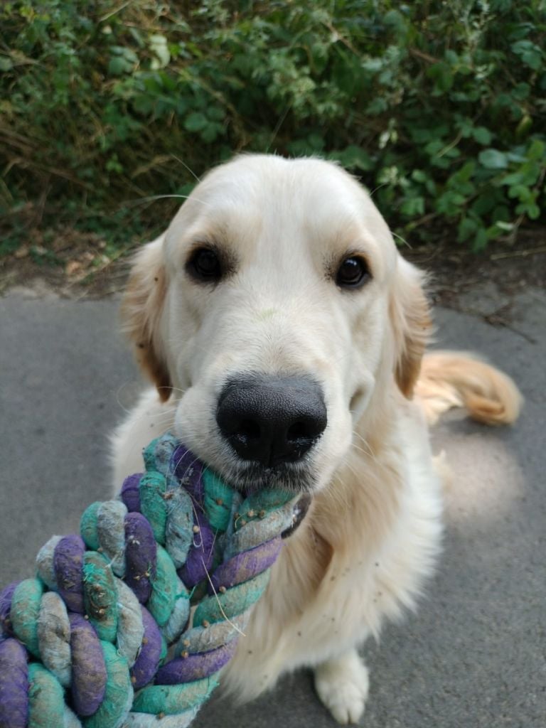 Twix Du Ruisseau De La Groseille