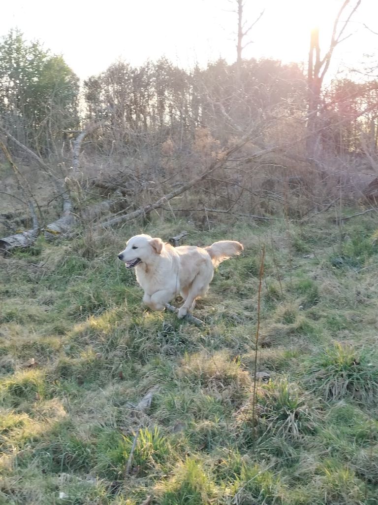 Twix Du Ruisseau De La Groseille