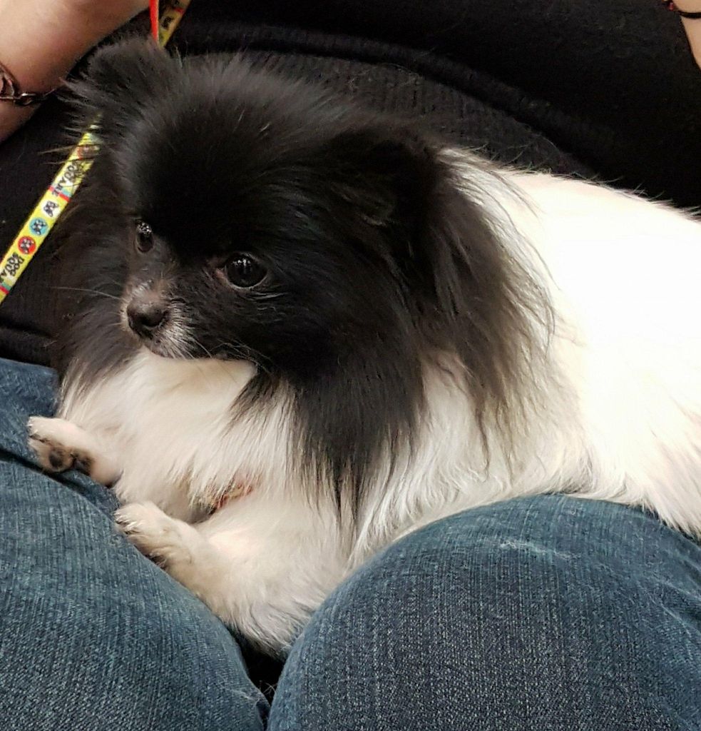 Nalla bella (Sans Affixe)