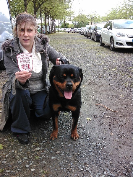 Maggy od perovica - 1er excellent intermediaire