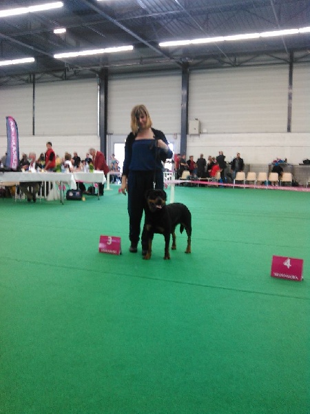 Maggy od perovica - 3eme tres bon classe intermediaire