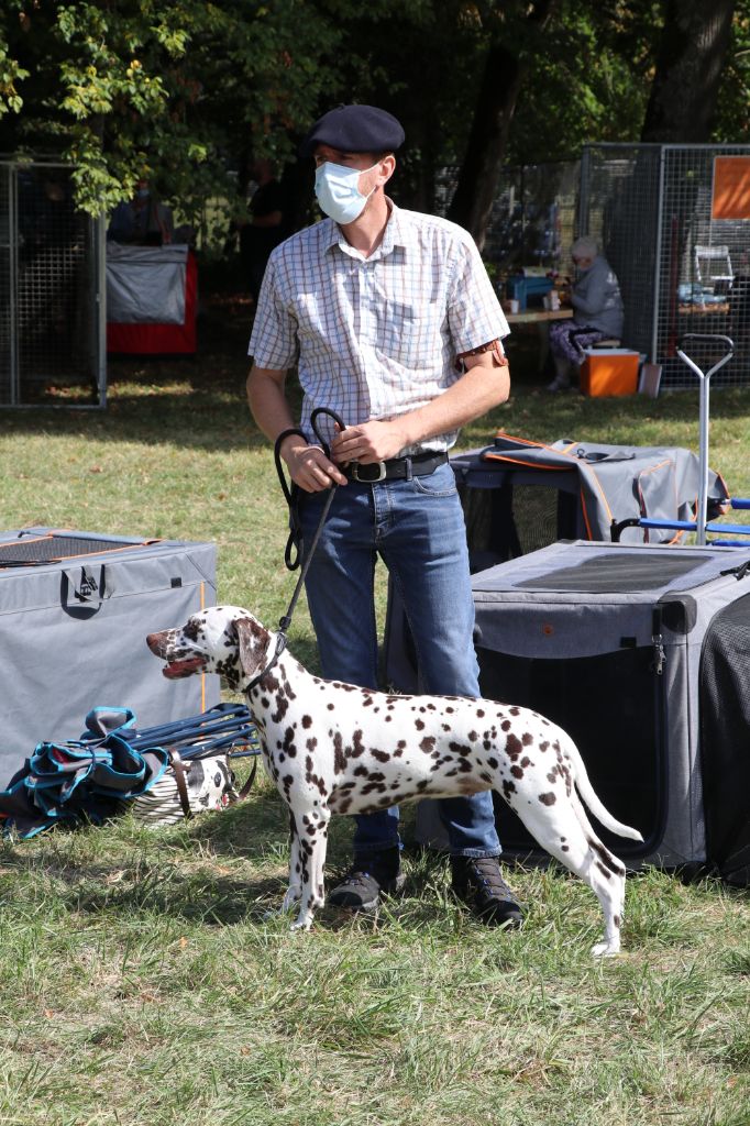 Rubbie danaïs Of The Love Spots - 3ème excellent en Classe Ouverte