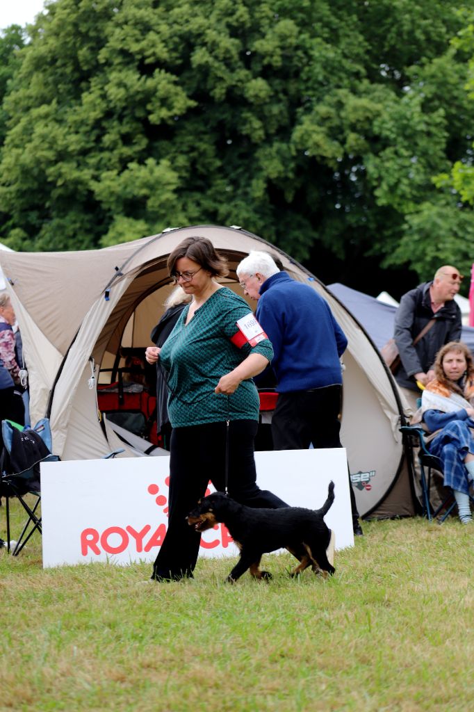 Vortex De Pech & Catmalou - 1er Excellent CACSJ Meilleur Jeune