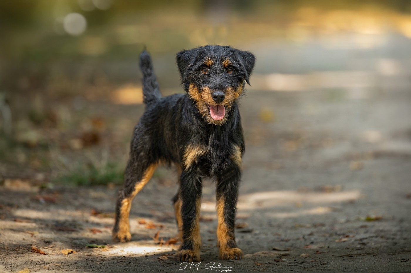 CH. Vortex De Pech & Catmalou - 2ème Prix 86 points