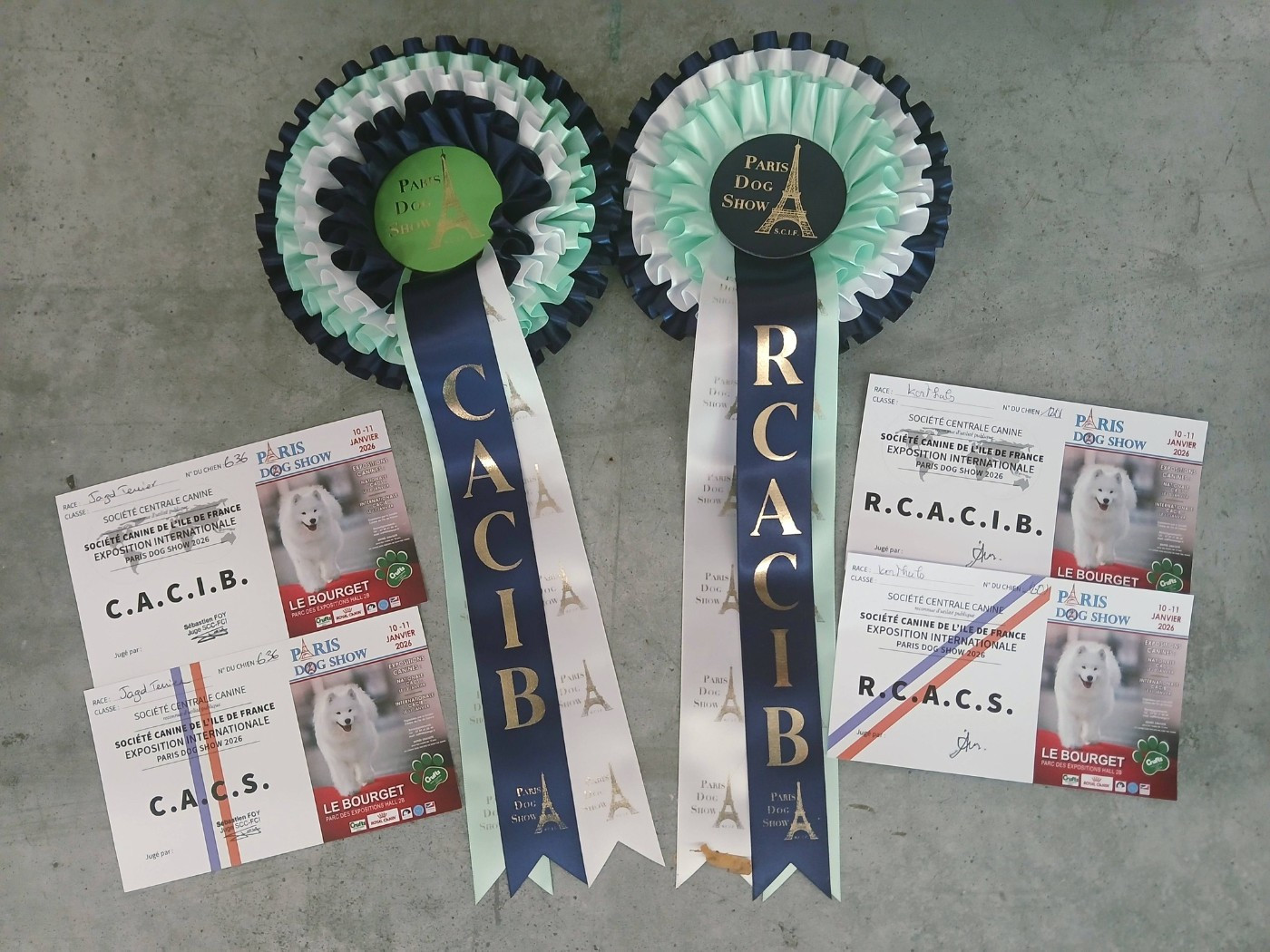 CH. Vortex De Pech & Catmalou - 1er Excellent Classe Travail CACS CACIB Meilleur de Race