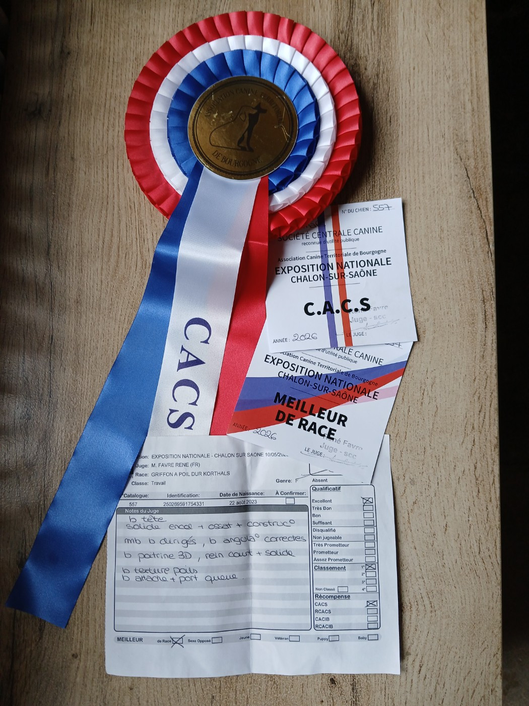 CH. Ursia (Sans Affixe) - 1er Excellent Classe Travail CACS Meilleur de Race