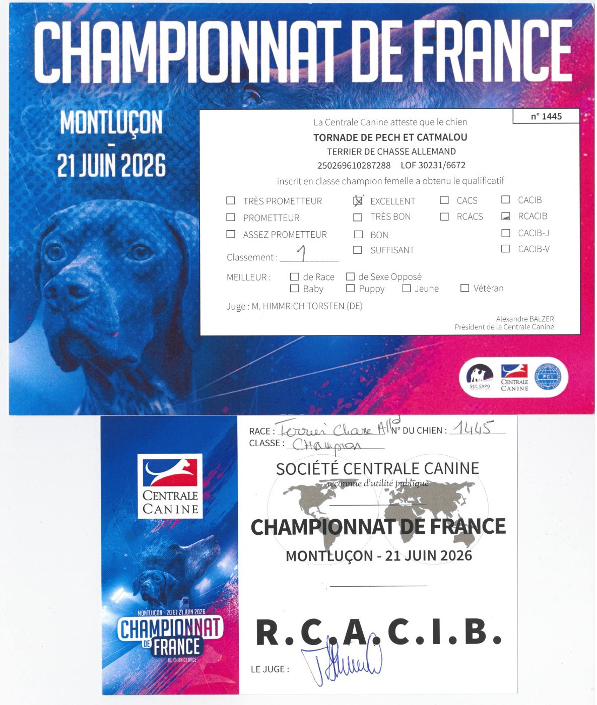 CH. Tornade De Pech & Catmalou - 1er Excellent Meilleure Champion RCACIB