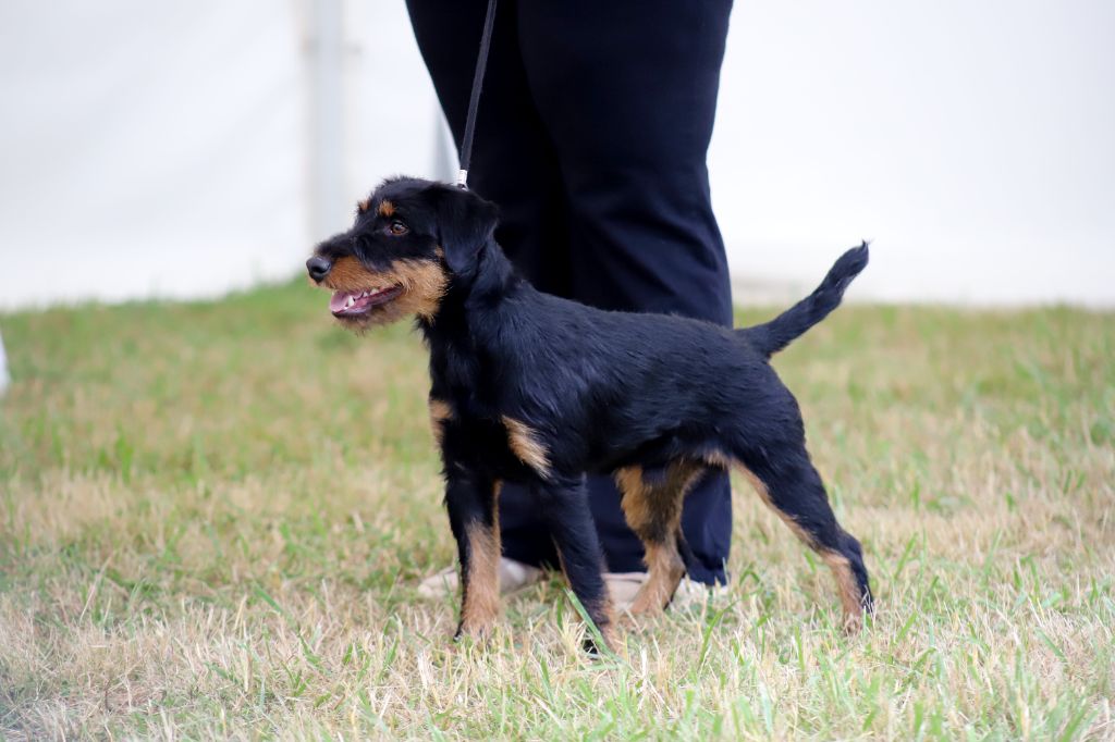 Vortex De Pech & Catmalou - 1er EXCELLENT Meilleur de Sexe Opposé