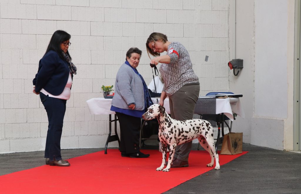 Rubbie danaïs Of The Love Spots - Très Bon