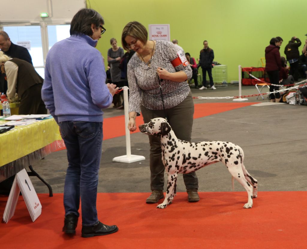 Rubbie danaïs Of The Love Spots - Très Bon