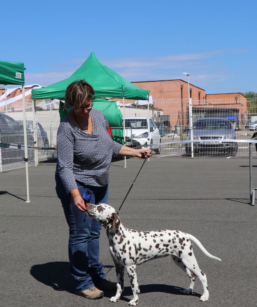 Rubbie danaïs Of The Love Spots - 1er TRES PROMETEUR - MEILLEURE BABY - BIS3 BABY