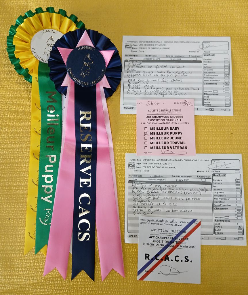 Vortex De Pech & Catmalou - 1er Très Prometteur - Meilleur Puppy