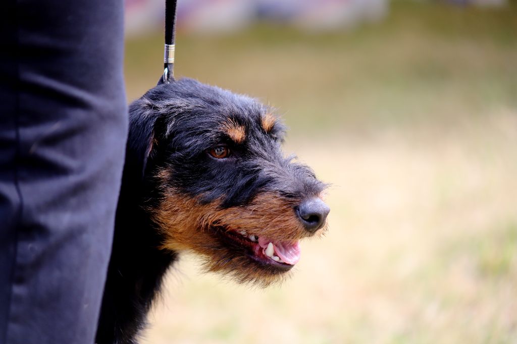 Vortex De Pech & Catmalou - 4ème EXCELLENT