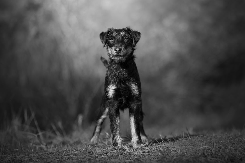 Vortex De Pech & Catmalou - 2ème Prix