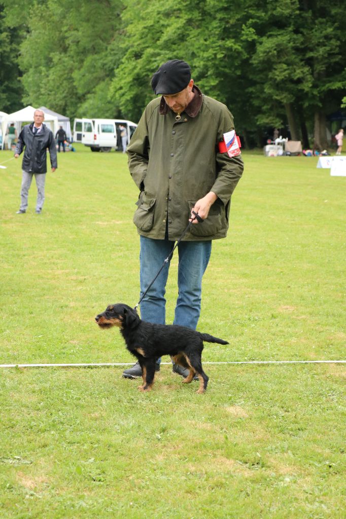 Vortex De Pech & Catmalou - 1er Excellent CACSJ BOBJ BOB