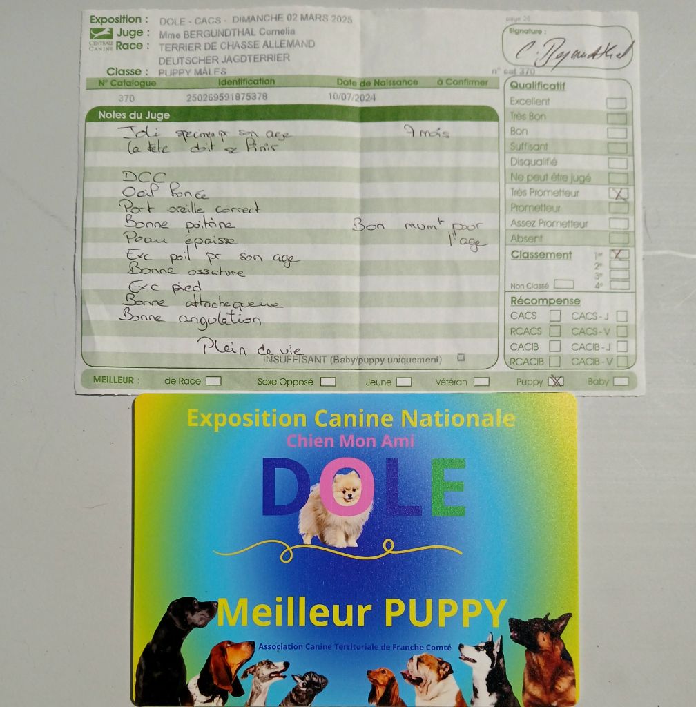 Vortex De Pech & Catmalou - 1er Très Prometteur - MEILLEUR PUPPY