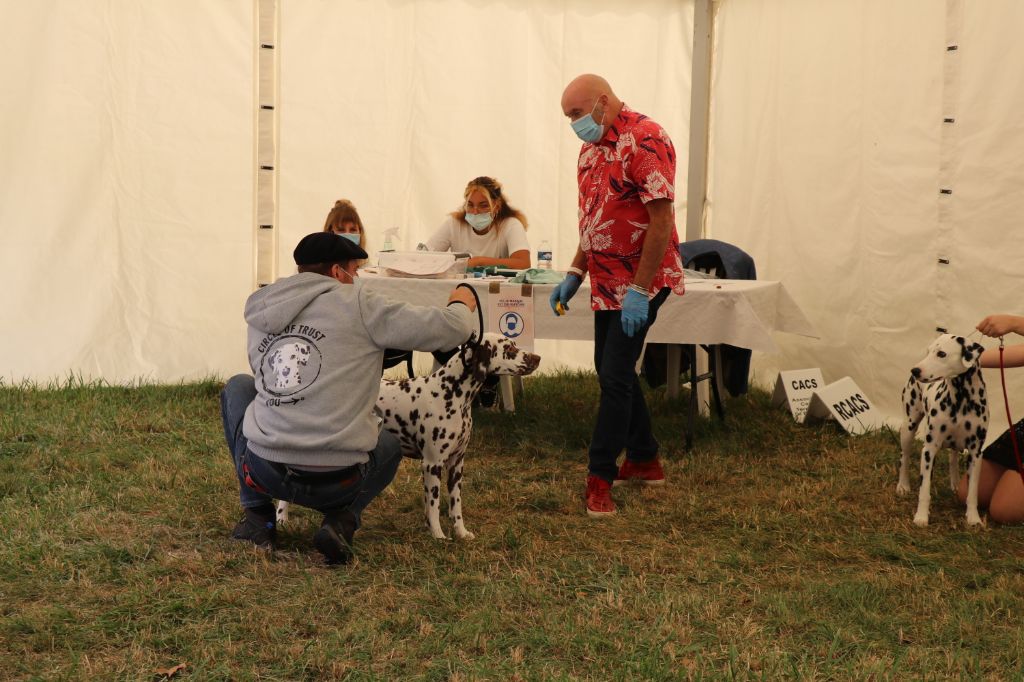 Rubbie danaïs Of The Love Spots - 3ème Très Bon en Classe Ouverte