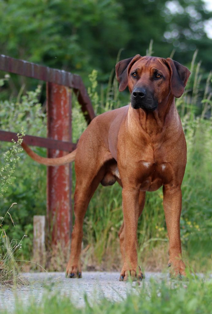 Publication : Zawadi N'zuri