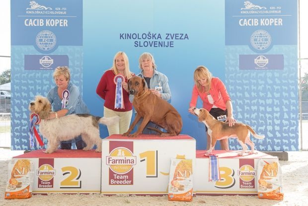 CH. ye japha Fikile wema - CAC _ CACIB - BOB _ BOG (juge Helena AGAFONOVA - russie)