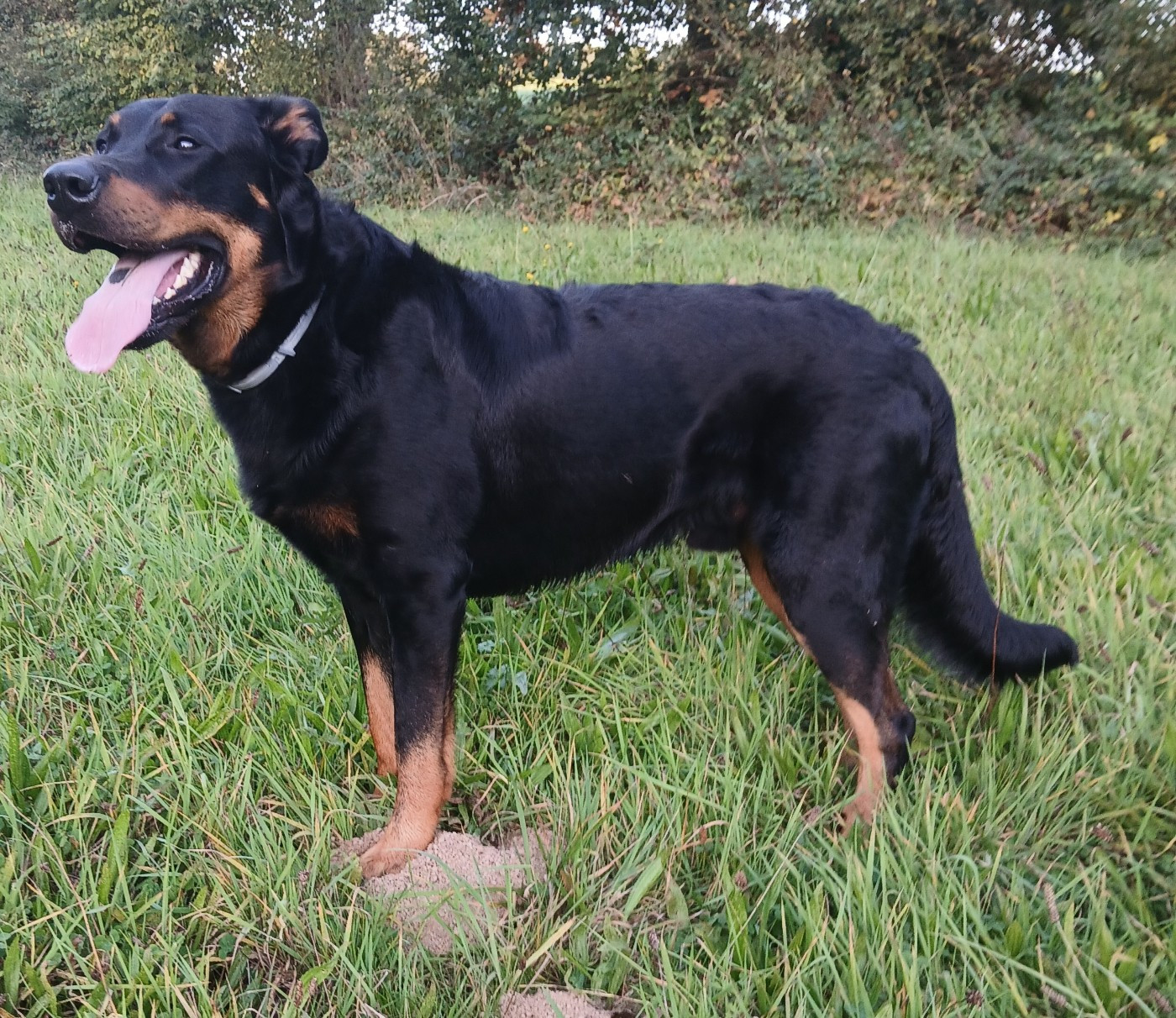 Ubac Des Flammes De La Mer