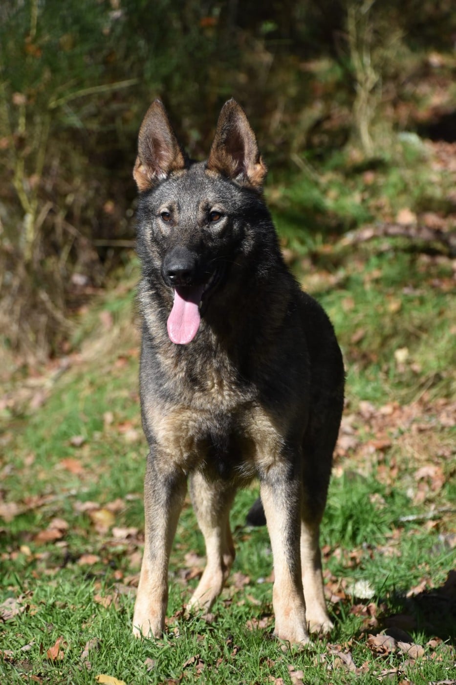 Publication : des trésors du maquis