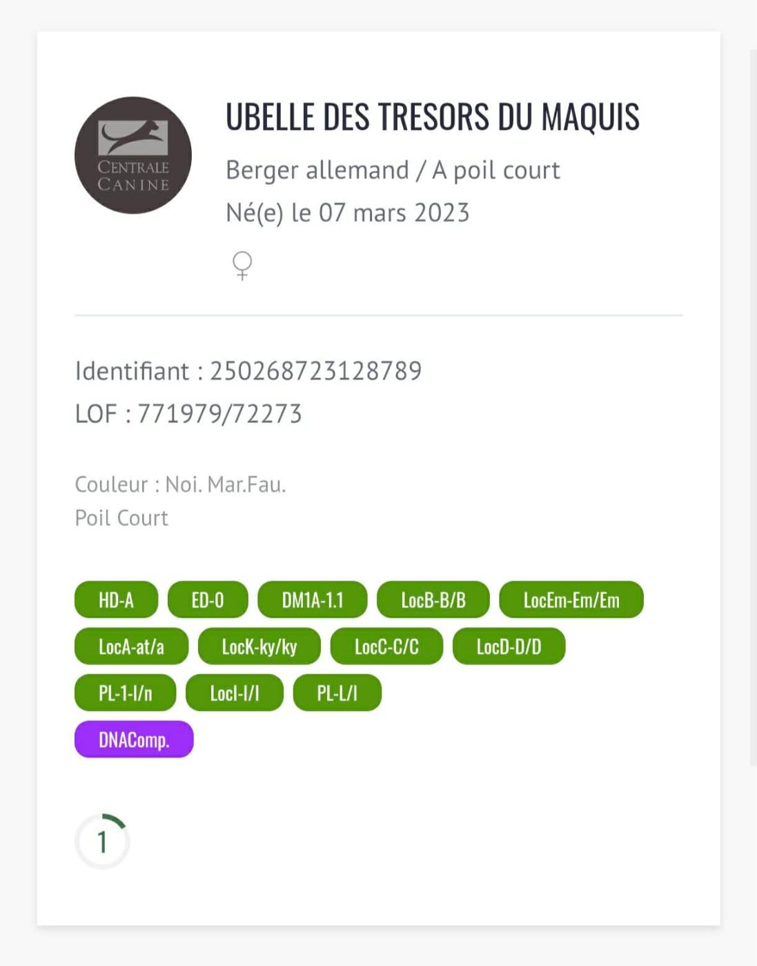Ubelle des trésors du maquis