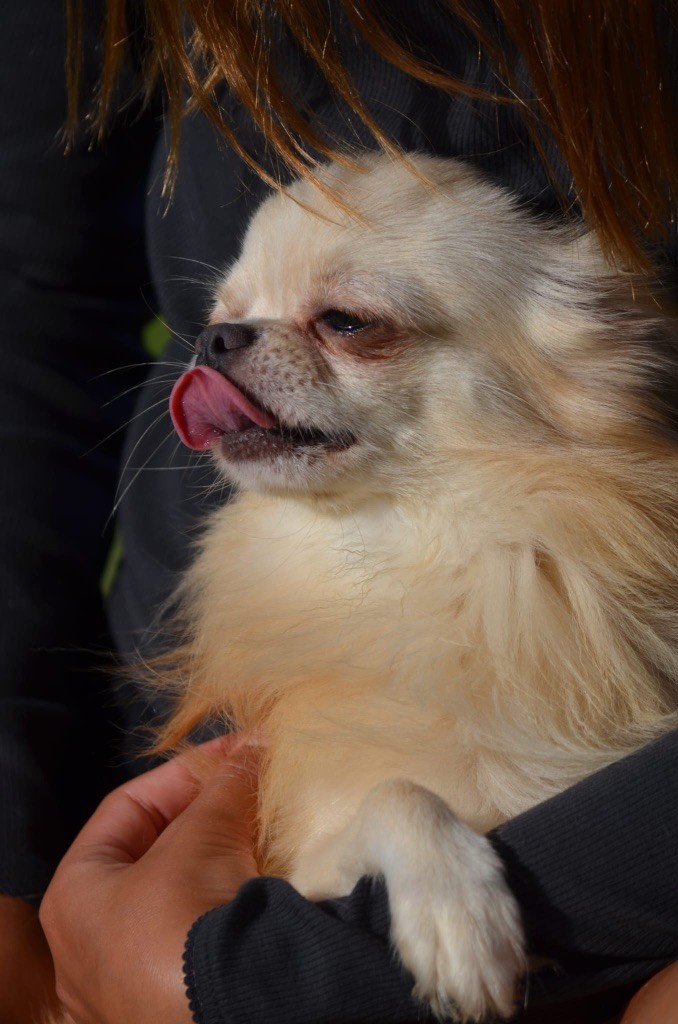 Ti mouss des légendes d'Athena