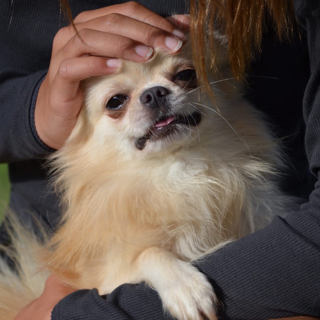 Ti mouss des légendes d'Athena