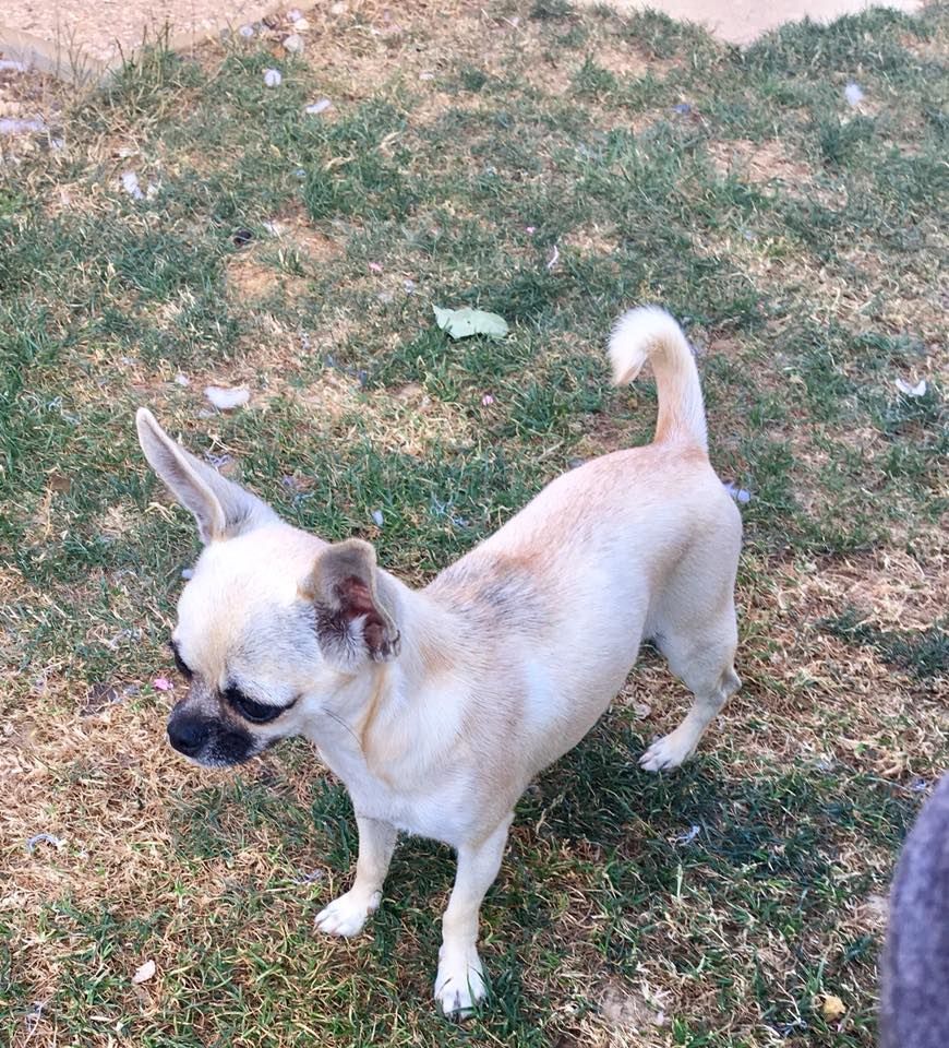 Publication : (Sans Affixe)