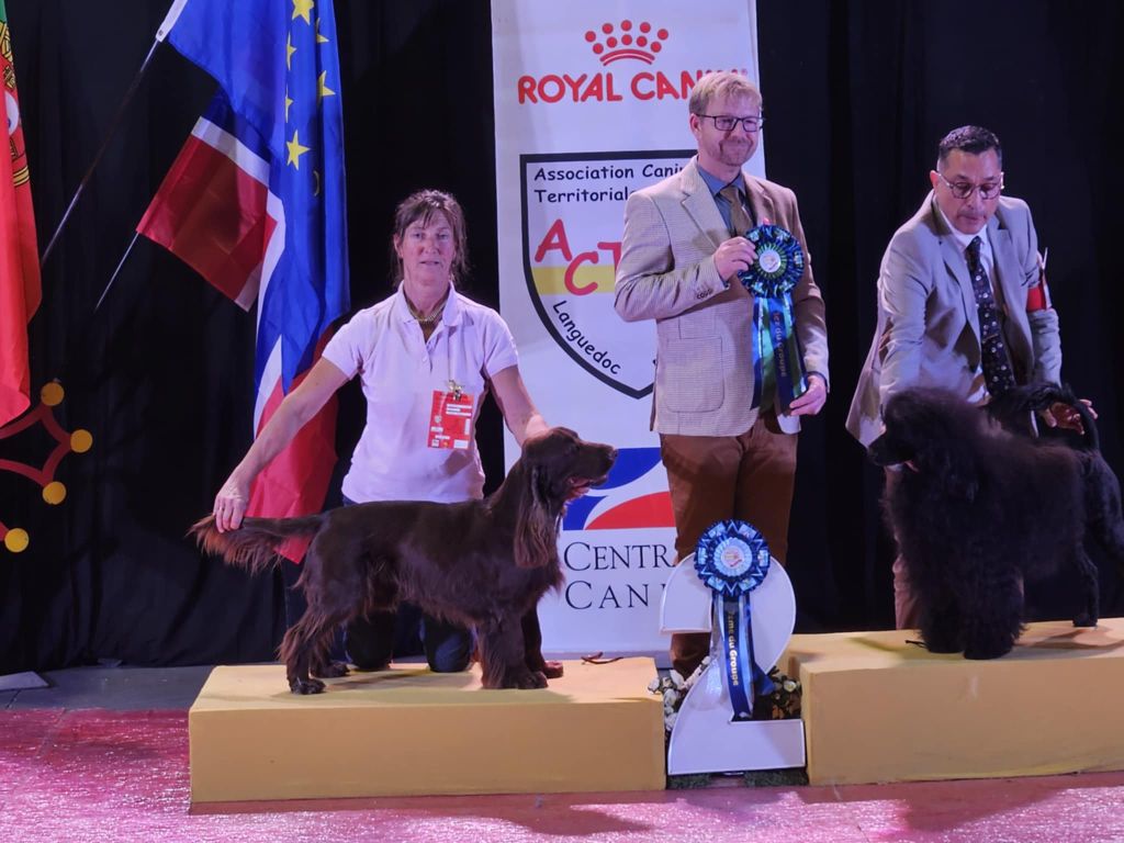 TR. CH. calico's Quack to the future