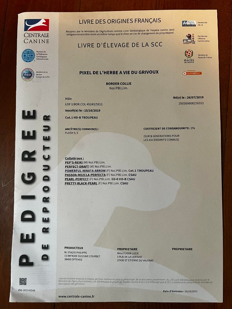 Publication : de la Vallée du Phoenix