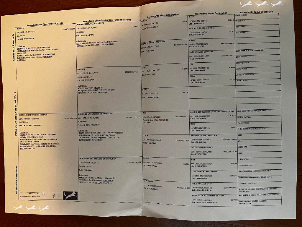 Publication : de la Vallée du Phoenix