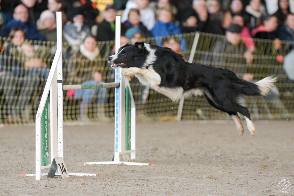 Publication : de la Vallée du Phoenix