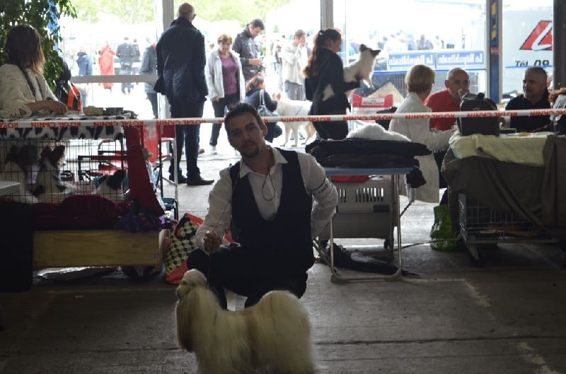 Hanouck du lac de Cupidon - 1 EXC CAC & CACIB MEILLEUR DE RACE