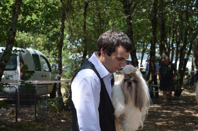 Hanouck du lac de Cupidon - 1er EXCELLENT CACS MEILLEUR DE RACE