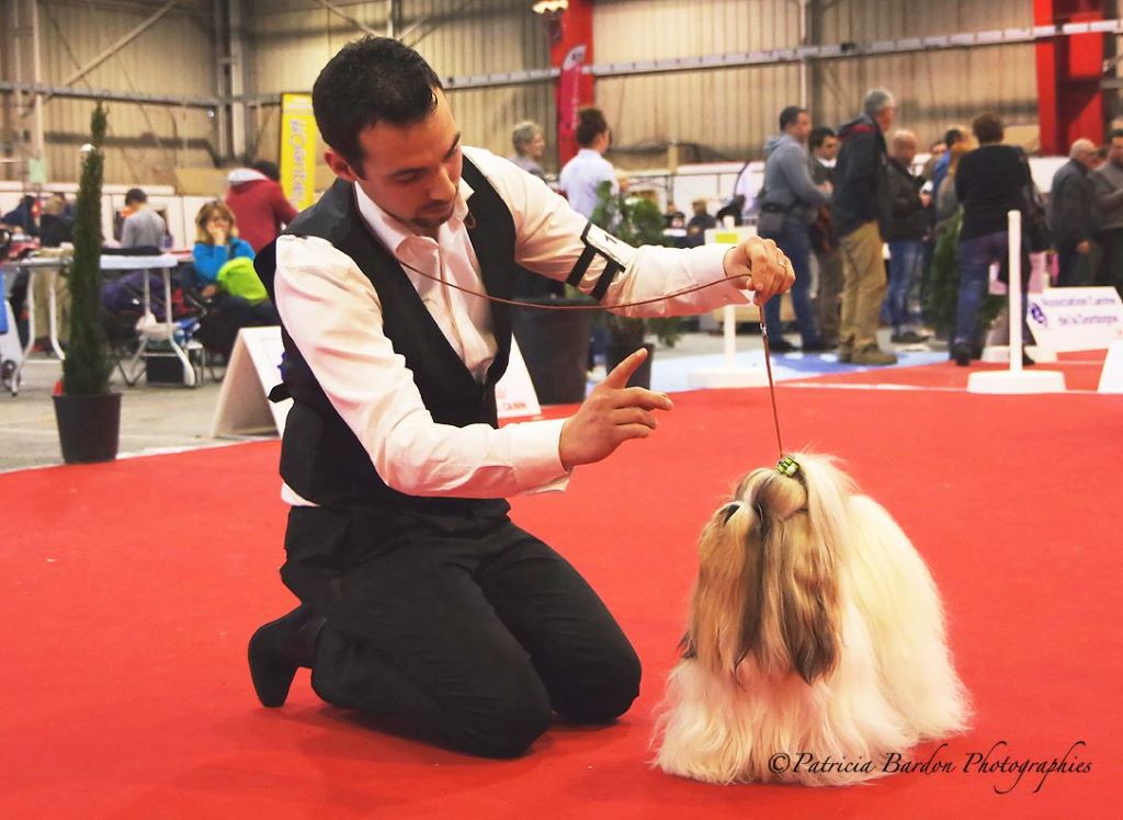 Hanouck du lac de Cupidon - 1 EX rcac