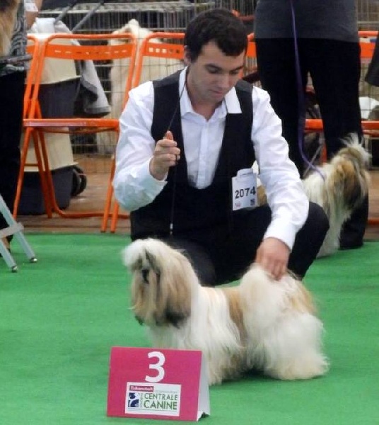 Hanouck du lac de Cupidon - 3em exc classe jeune