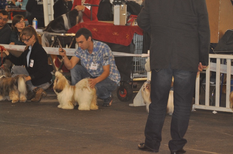 Hanouck du lac de Cupidon - 4em exc classe jeune