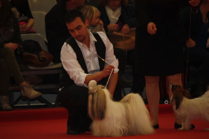 Hanouck du lac de Cupidon - 3e EXCELLENT et finit son titre de CHAMPION DE GIRONDE