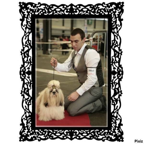 Hanouck du lac de Cupidon - 2em exc classe jeune