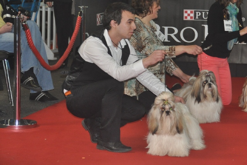 Hanouck du lac de Cupidon - 4em exc classe junior