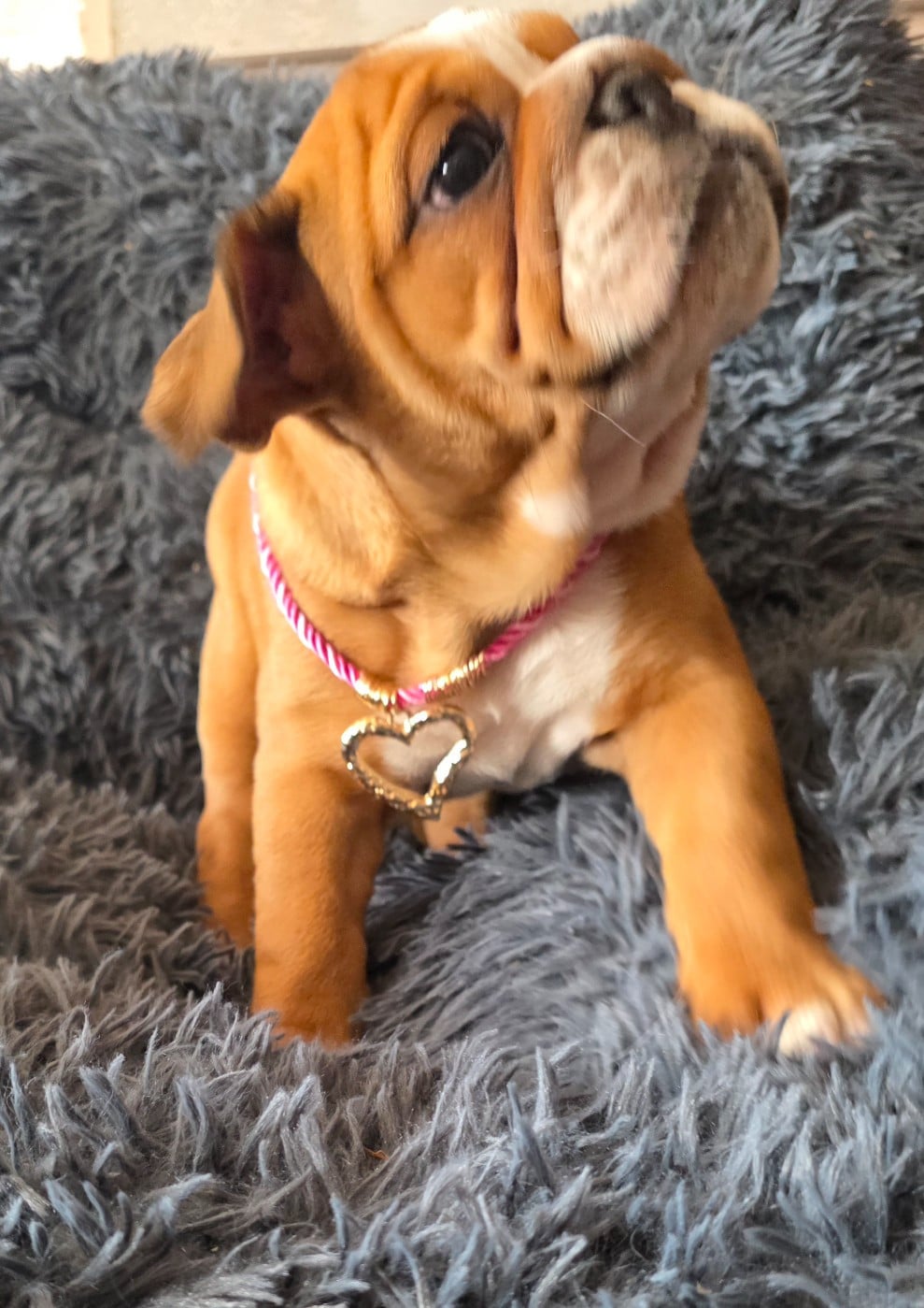 Betty