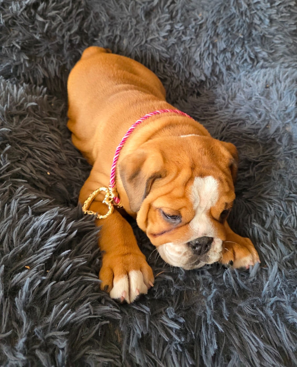 Betty